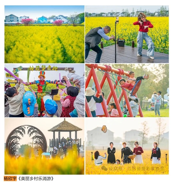 江苏摄影展出现抄袭争议：涉事作品被取消入选资格，摄影行业诚信防线再受考验