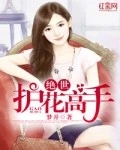 绝世护花高手全本 作者：梦开